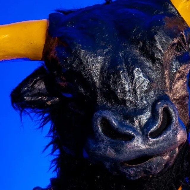 Touro Loko, mascote da Dendele